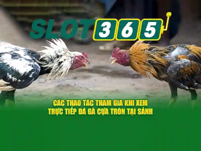 Tóm lại và lời mời trải nghiệm