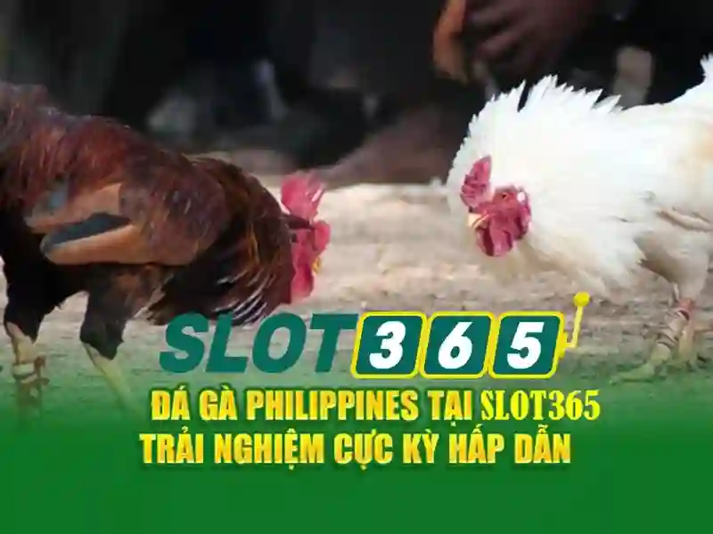 đánh giá Slot365: Nền tảng giải trí uy tín và đầy cảm hứng