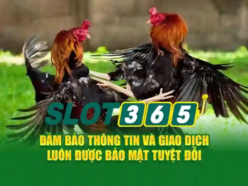 Đăng ký Slot365 – Trải nghiệm và nhận thưởng