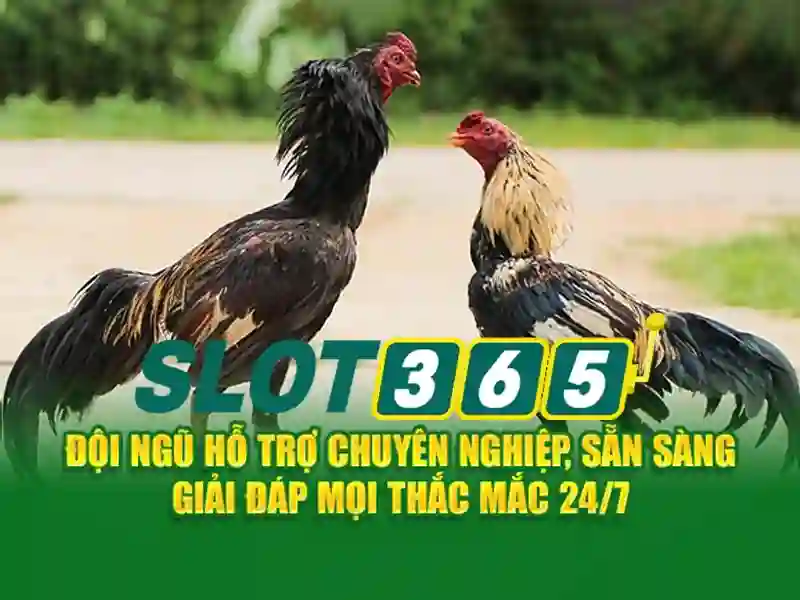 https t ly slot365 – Tổng quan chủ đề và giá trị cốt lõi