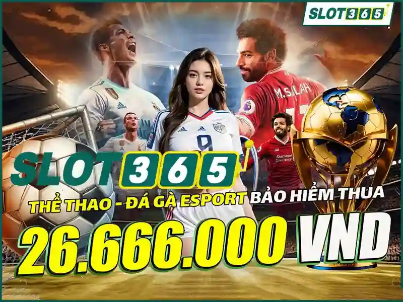 Slot365 an toàn không – Trải nghiệm người dùng và phản hồi từ cộng đồng