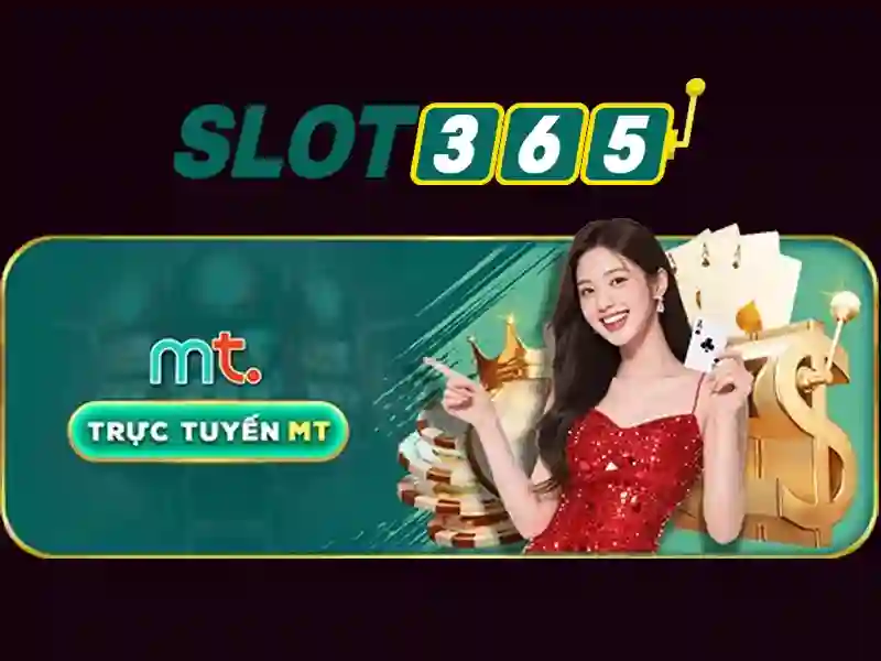 hỗ trợ Slot365 – Các sản phẩm và dịch vụ cốt lõi