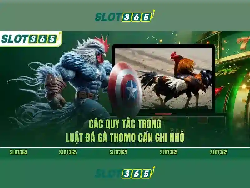 Slot365 – Cổng slot trực tuyến đáng tin cậy với trải nghiệm chơi đỉnh cao