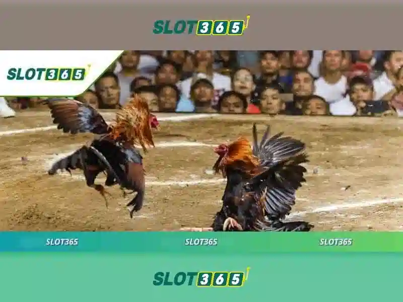 Slot365 - Khám phá nền tảng chơi slot trực tuyến