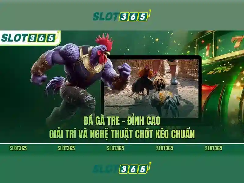 Trải nghiệm người dùng trên Slot365