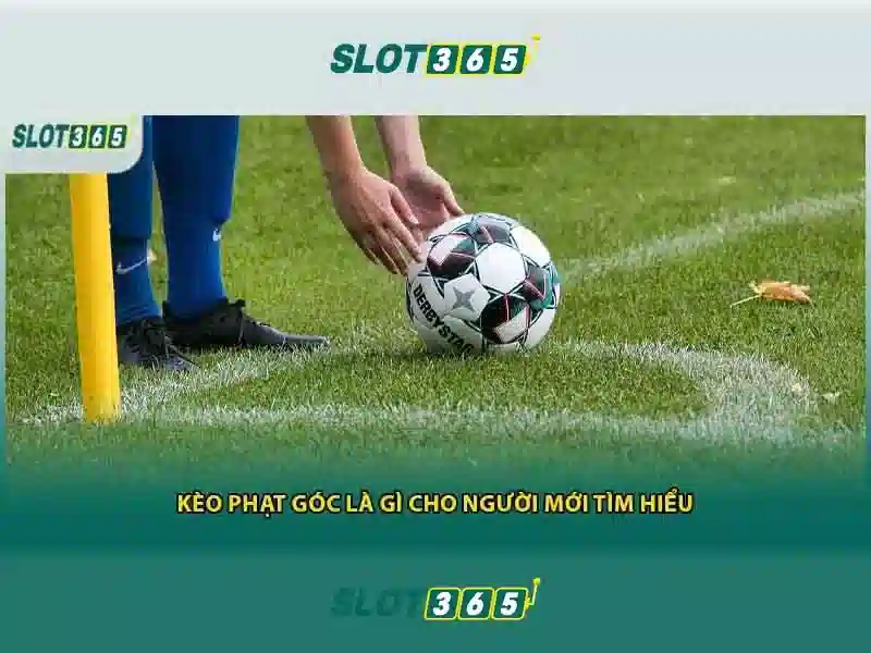 Slot365: Trải nghiệm trò chơi xèng trực tuyến đáng tin cậy