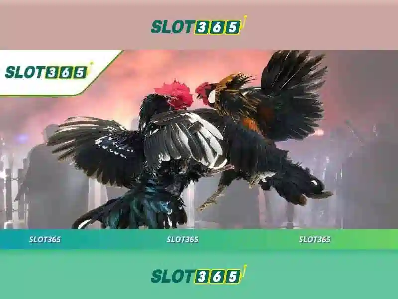 Slot365 - một nền tảng đánh bạc trực tuyến đáng tin cậy