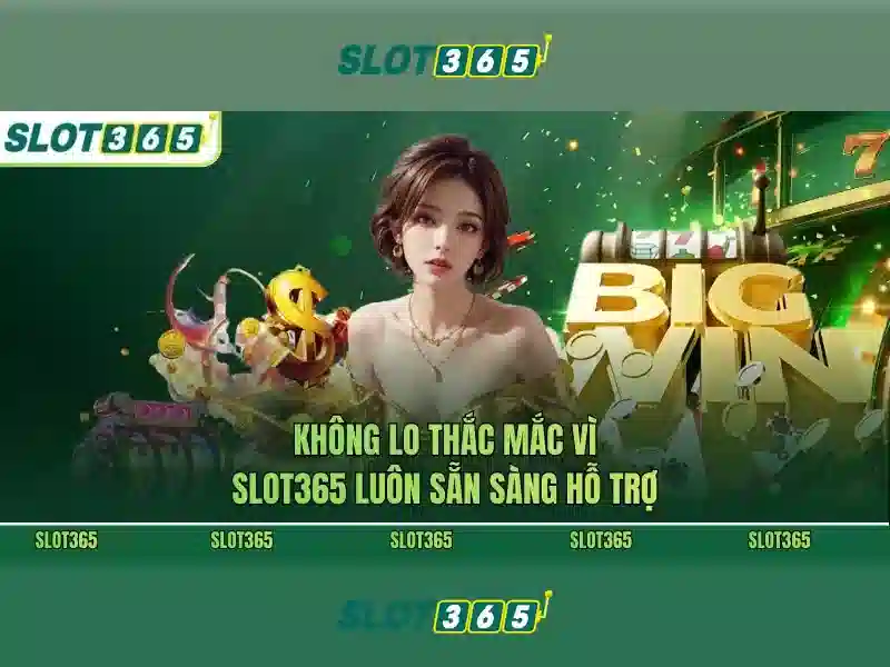 live slot365: Trải nghiệm đỉnh cao và uy tín