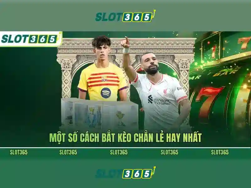 Slot365: Nền tảng slot trực tuyến an toàn và giải trí