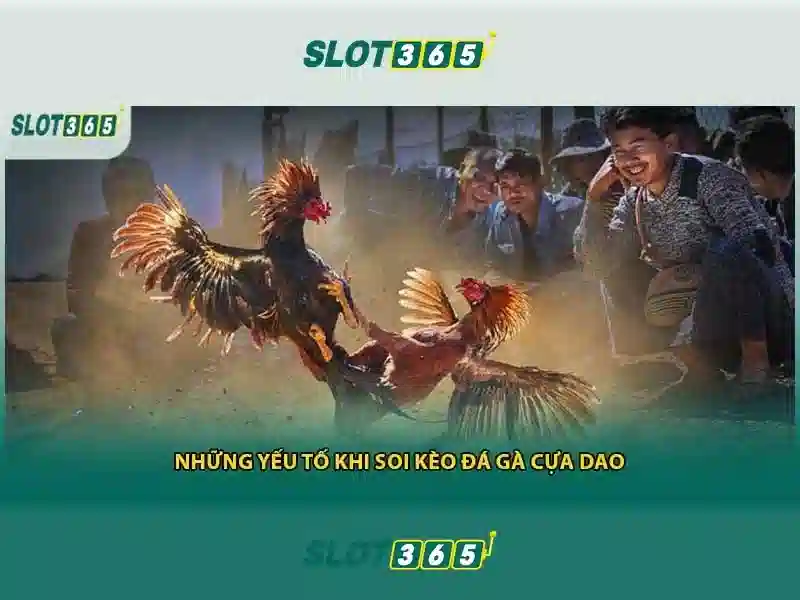Slot365: Khám phá nền tảng máy slot trực tuyến hàng đầu