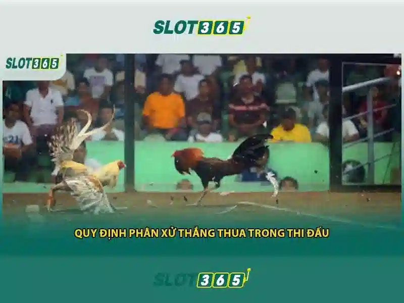Slot365 - Nền tảng máy xèng trực tuyến