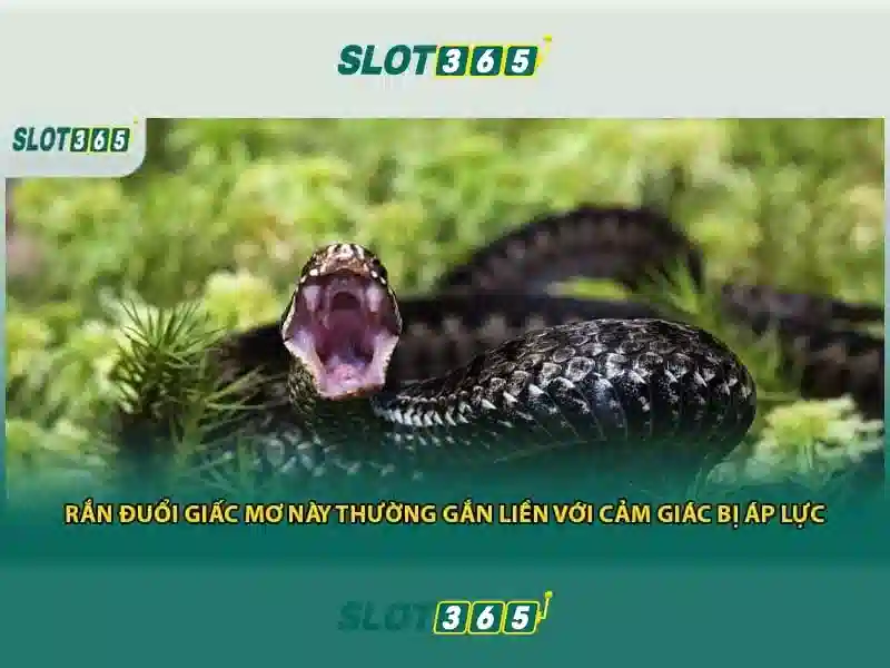 Slot365 - Nền tảng slot trực tuyến uy tín