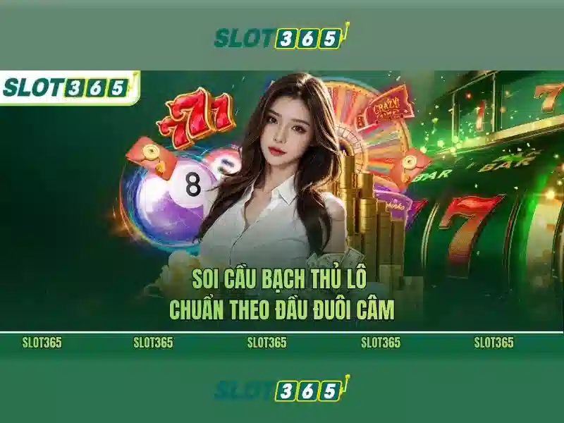 Slot365: Trải nghiệm chơi Slot trực tuyến hàng đầu