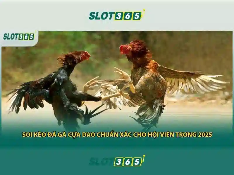 An toàn và bảo mật