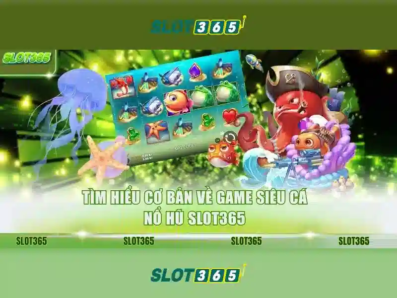 hoki slot365 – tổng quan chủ đề và giá trị cốt lõi