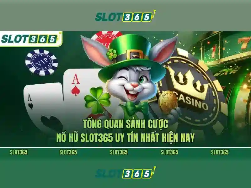 Slot365 bị chặn: hướng dẫn Slot365 và trải nghiệm người dùng
