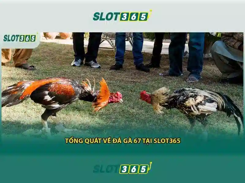 Slot365 bị chặn: hướng dẫn Slot365 và trải nghiệm người dùng