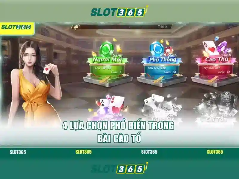 Slot365 - Nền tảng casino trực tuyến hàng đầu