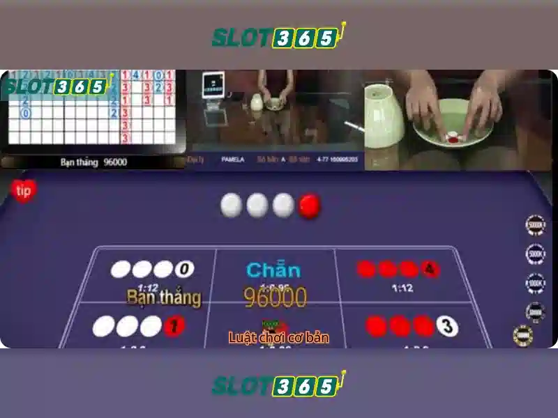 Slot365: Khám phá nền tảng casino trực tuyến và những trải nghiệm nổi bật