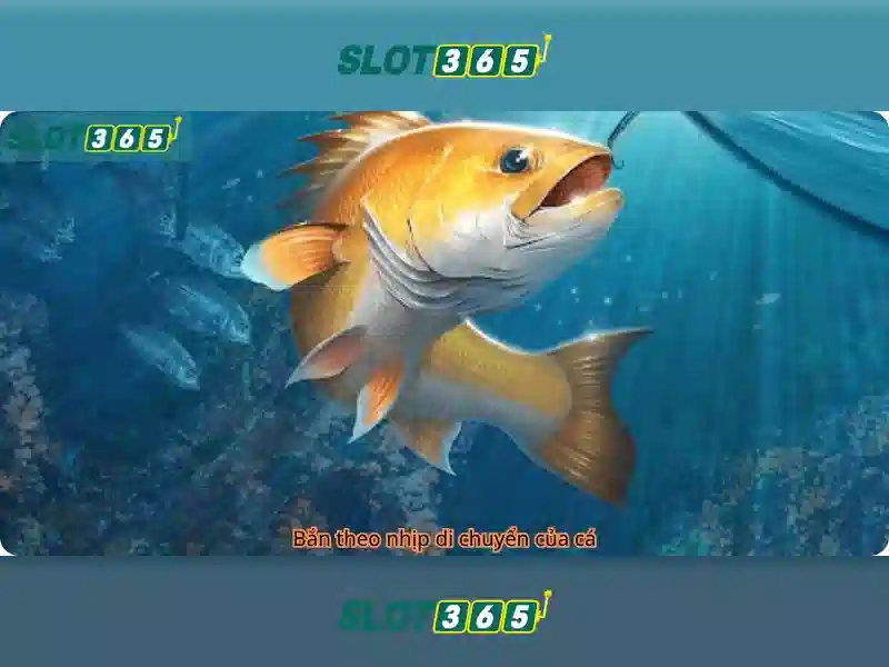 Hướng dẫn đăng ký và nhận thưởng