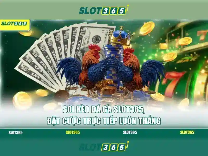 Giới thiệu về Slot365