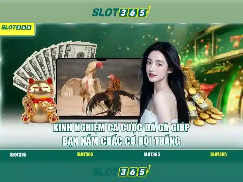 Tổng quan chủ đề và giá trị cốt lõi