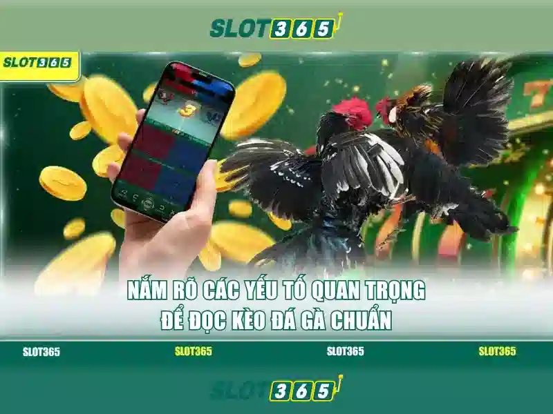 Slot365: Nền tảng máy xèng trực tuyến và trải nghiệm giải trí