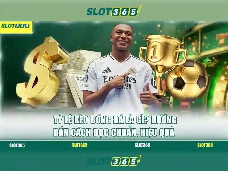 Slot365 là nền tảng trò chơi trực tuyến uy tín