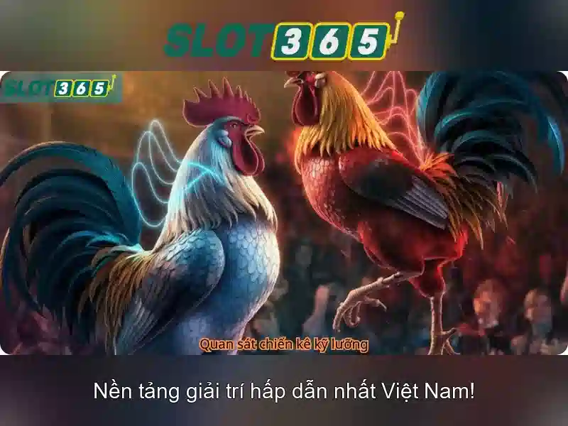 Hỗ trợ khách hàng và kết nối cộng đồng