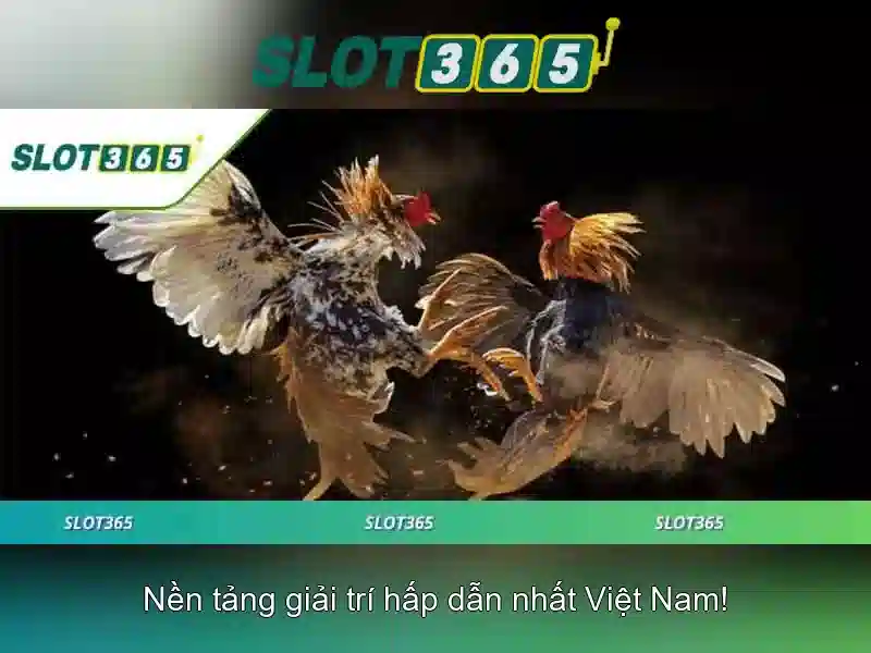 Khuyến mãi và chương trình thưởng