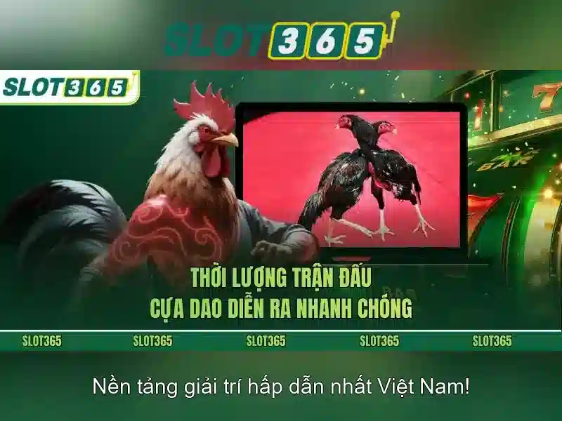 Khuyến mãi và chăm sóc khách hàng