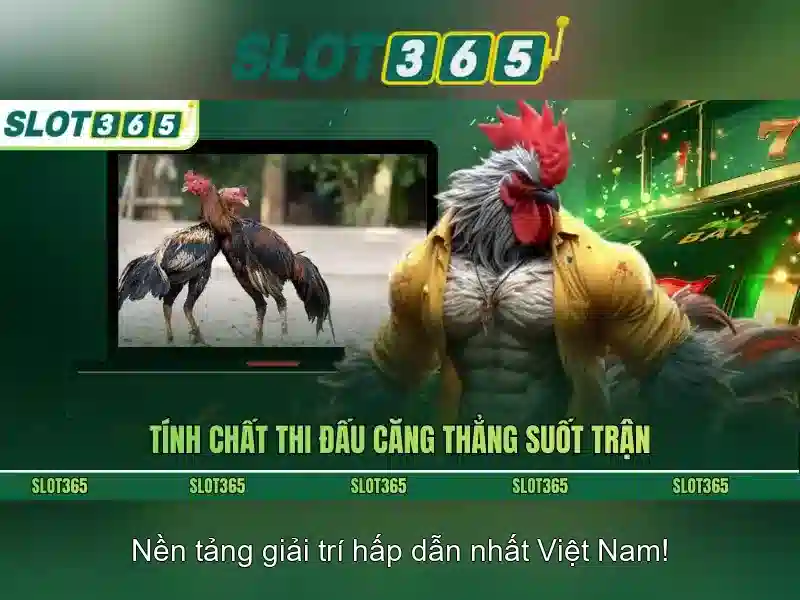 Slot365 – Tổng quan và trải nghiệm chơi slot trực tuyến