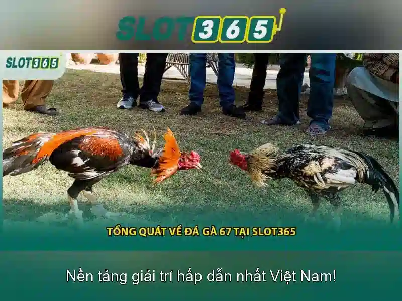 Danh sách trò chơi và tính năng