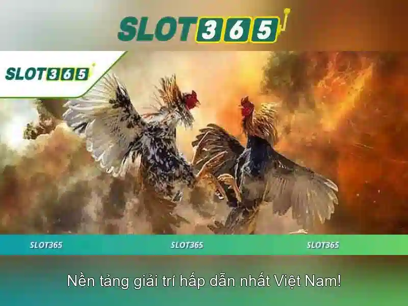 Slot365 là gì?