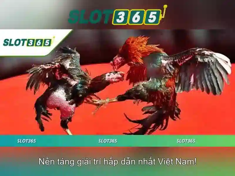 Đa dạng trò chơi slots