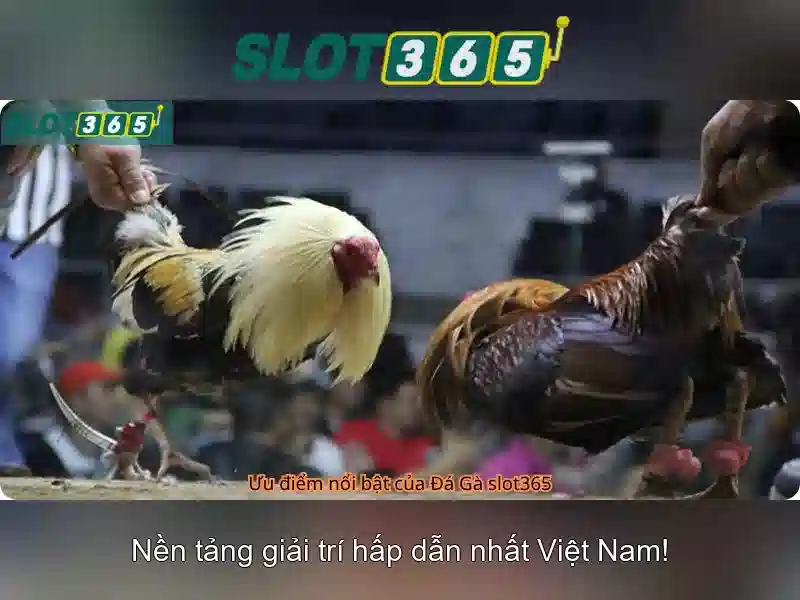 Slot365: Trải nghiệm casino trực tuyến an toàn và thú vị