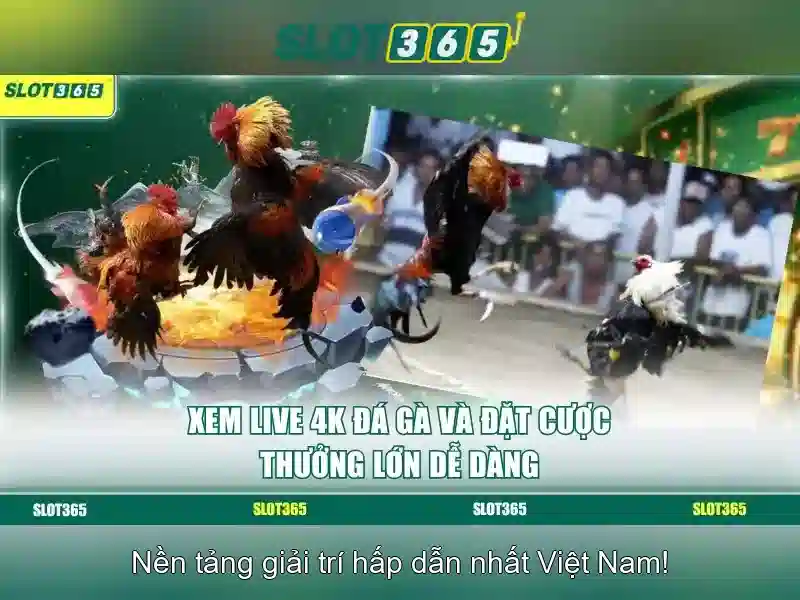 Slot365: Trò chơi xèng đầy màu sắc