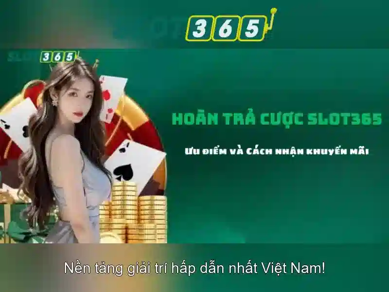 Khuyến mãi và hỗ trợ khách hàng
