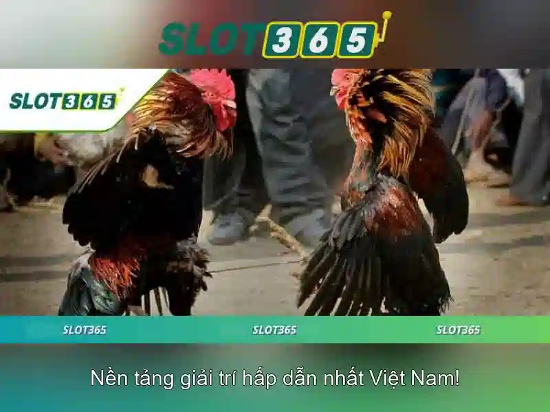 An toàn và bảo mật thông tin