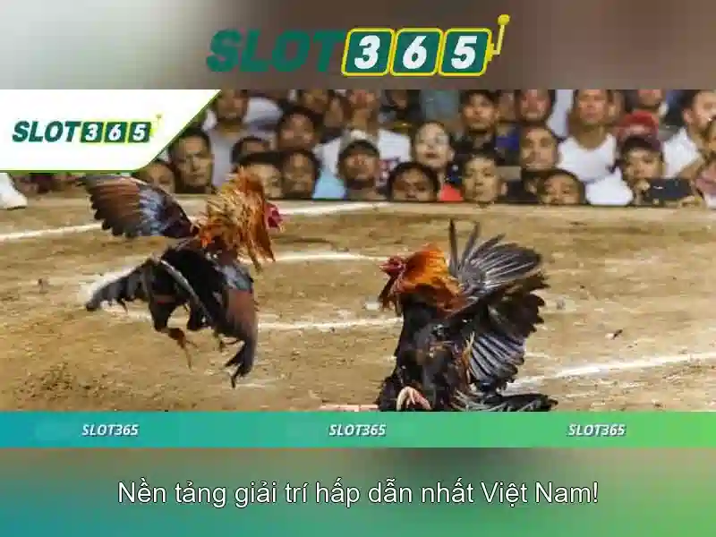 Slot365: Nền tảng slot trực tuyến và những điều cần biết