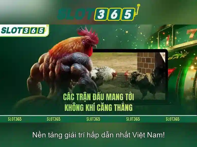 Nguồn gốc và sứ mệnh Slot365 an toàn không