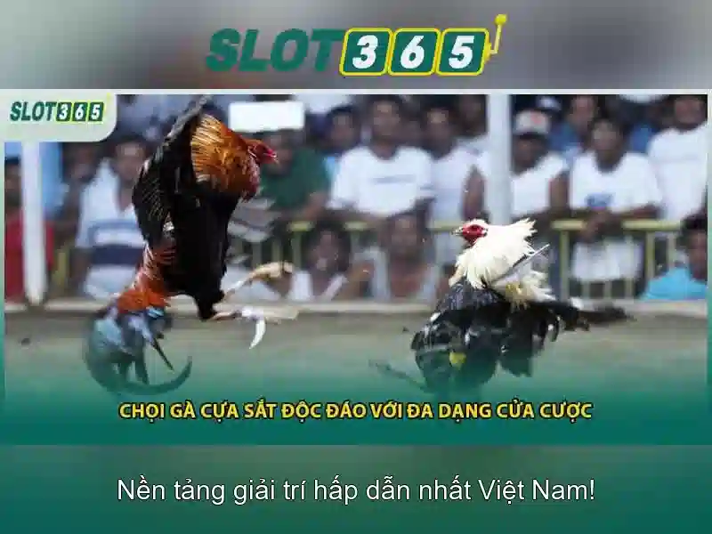 Slot365 - Khám phá nền tảng casino trực tuyến hàng đầu