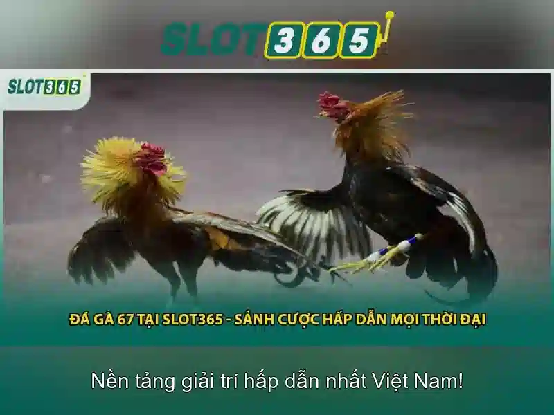 Slot365 - Tổng quan và mẹo chơi