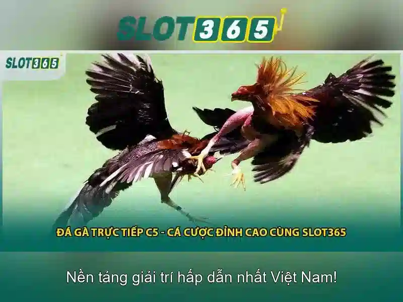 Slot365: trải nghiệm slot trực tuyến hàng đầu và đánh giá tổng quan