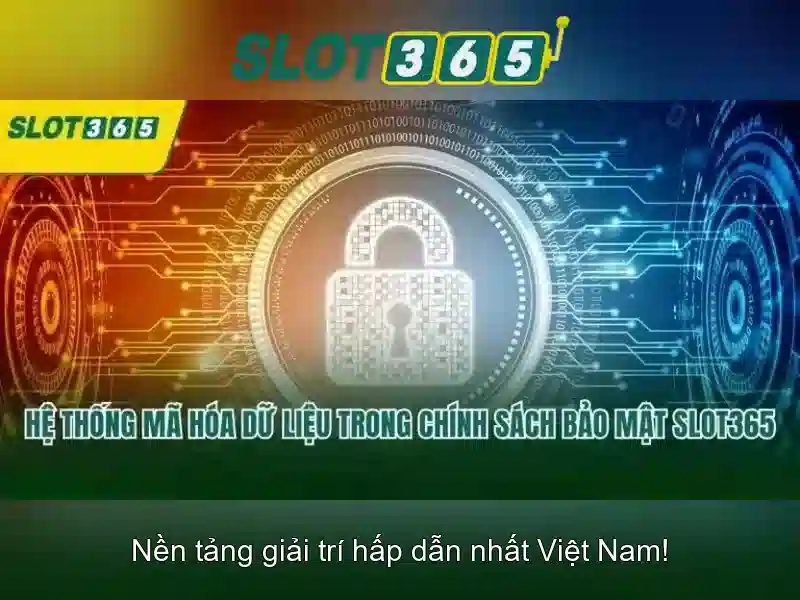 Slot365 - Tổng quan về nền tảng đánh bạc trực tuyến