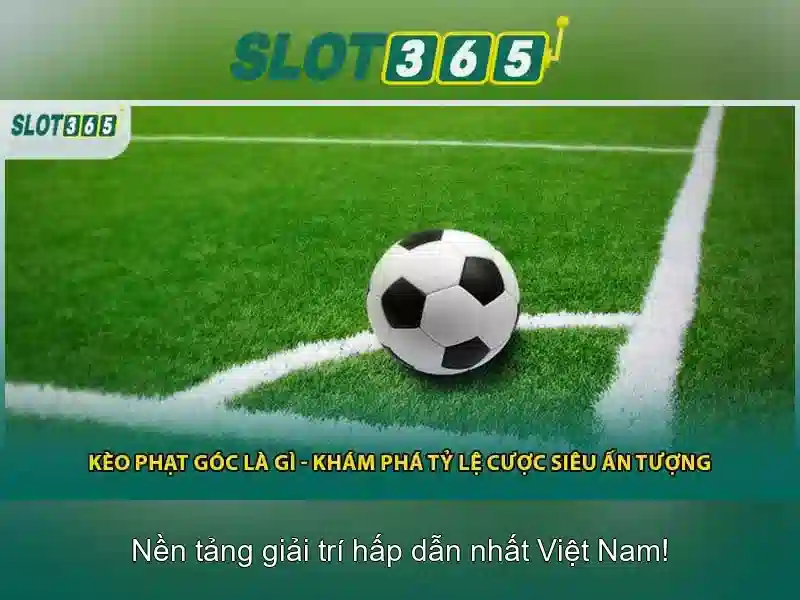 Trải nghiệm người dùng và phản hồi cộng đồng