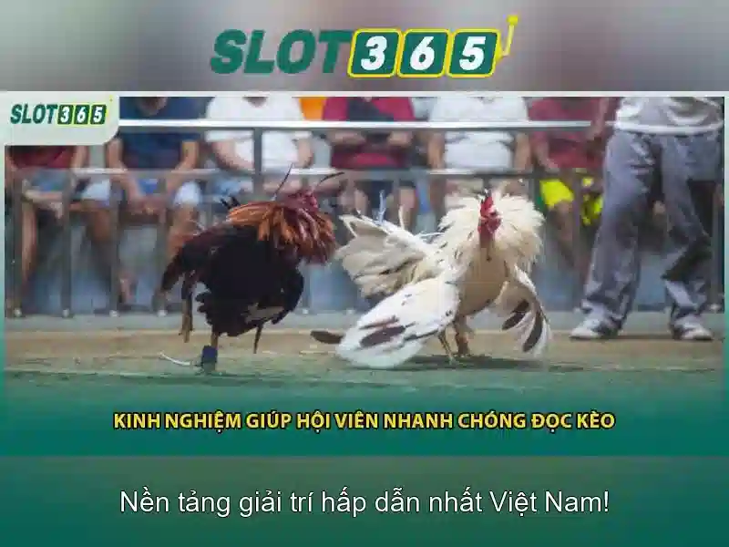 An toàn và thanh toán
