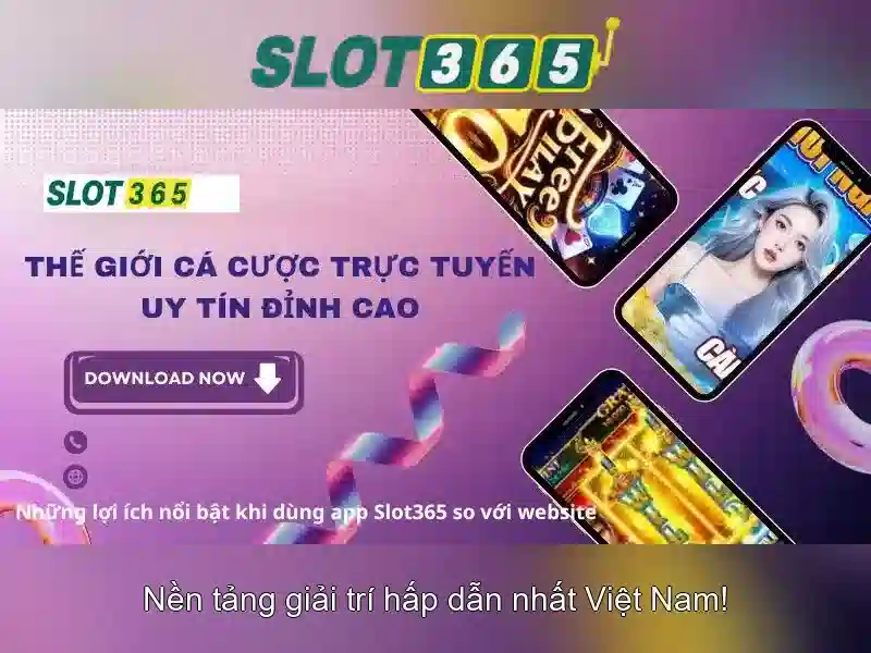 Tại sao chọn slot365?