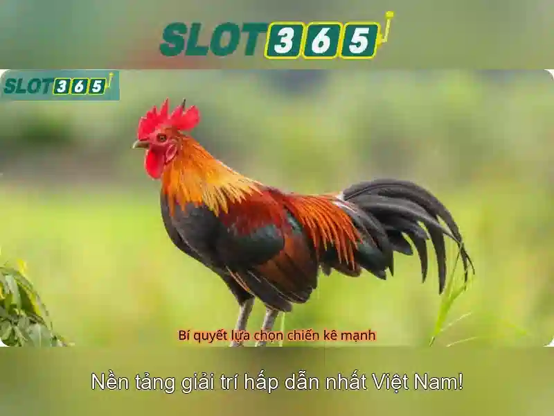 Slot365: Trải nghiệm đánh bạc trực tuyến an toàn và giải trí