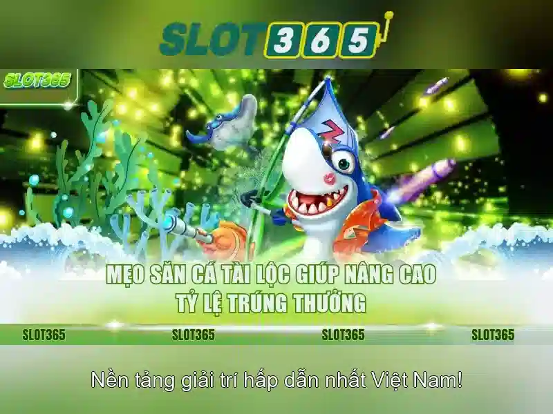 Kết luận và bước tham gia